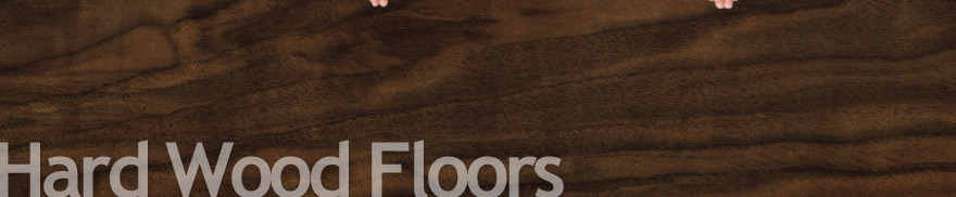 refinishing wood floor Austin,TX