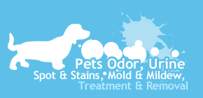 Austin pet odor and stain removal